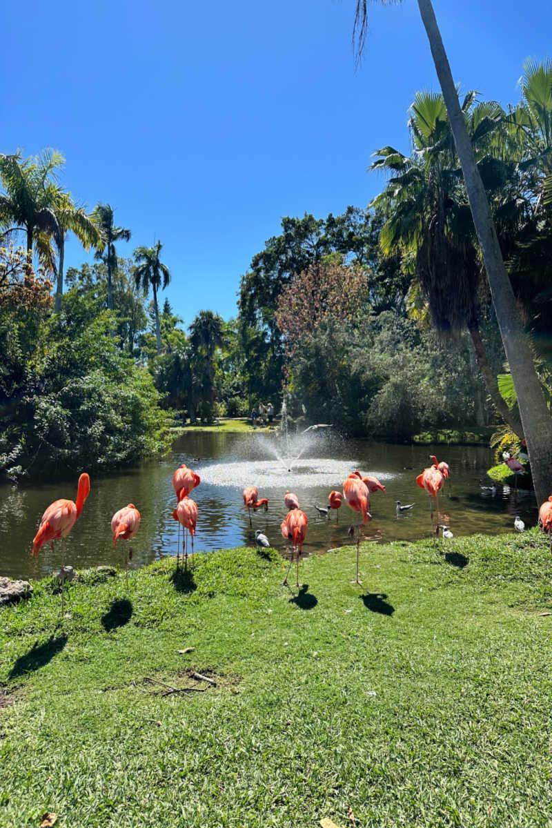 Zoos